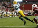 Green+Bay+Packers+v+Arizona+Cardinals+Wild+1zI-Y60LMhGl.jpg