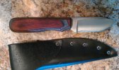 IMAG0096.jpg
