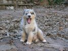 Hank's baby pics 308.jpg