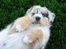 Hank's baby pics 252.jpg