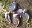 bear claw folders not for sale 911.jpg bear claw folders not for sale 911.jpg