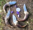 bear claw folders not for sale open 911.jpg bear claw folders not for sale open 911.jpg