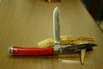 DSC00107.jpg