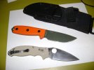 Manix & Rat 3 003.jpg