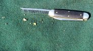 20201004_135652.jpg