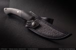 AI-Shakrivar-Custom-Blue-Crbonfiber-07.jpg