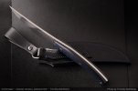 AI-Shakrivar-Custom-Blue-Crbonfiber-05.jpg
