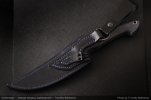 AI-Shakrivar-Custom-Blue-Crbonfiber-02.jpg