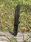 IMG_0687.JPG