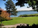 reedslake.collinspark.10720.jpg