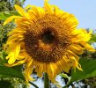20201010_081521.jpg