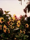 20201009_211148.jpg