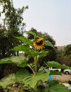 20201010_081149.jpg