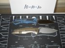 WE Nitida and Minator 003.JPG