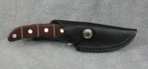 005.NRA.Guitar 007_zpsqzggy0ue.jpg