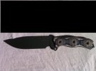 busse copy.jpg