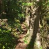 20201016_153133_copy_756x756.jpg