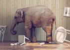 Elephant in Room.jpeg