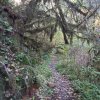 20201022_153640_copy_756x756.jpg