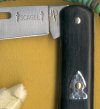 Ebony Scagel  3.jpg
