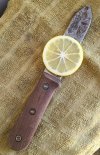 20201027_125955.jpg