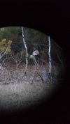 20160314_190952.jpg