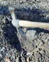 20201101_123258.jpg