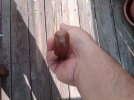 IMG00522-20111014-1309.jpg