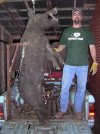 boar 6-21-11 015.jpg