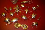Critters 006.jpg