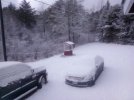 IMG_20201103_062416.jpg