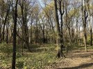 IMG_8948.JPG