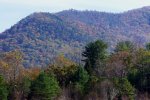 DSC09660eed.jpg