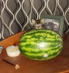 20201108_221008.jpg