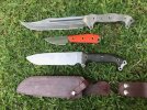 Busse 14 Nov sale 2.jpg