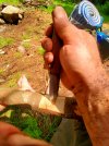 20201117_103251.jpg