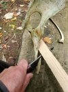 20201117_122532.jpg