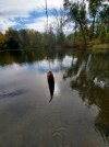 20201117_122840.jpg