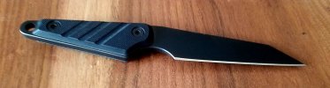 20201118_125119.jpg