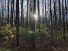IMG_9035.JPG