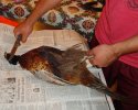 2011 nd trip 036.jpg