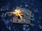 Fire.JPG