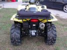 Old Yeller 002.jpg