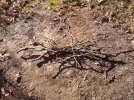 Photo122.jpg