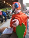 IMG_6449.jpg