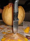 Bushie5.jpg