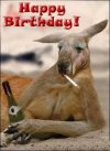 kangaroo.jpg