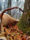 20201125_072857.jpg