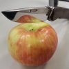 IMG_20201128_161807_176.jpg