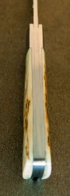 1202-CPM-mammoth-6.jpg